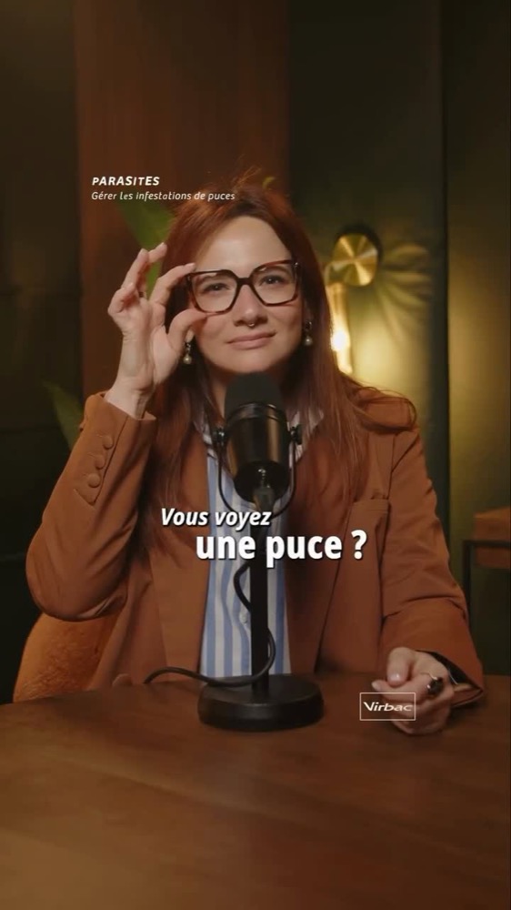Contenu vertical Virbac
